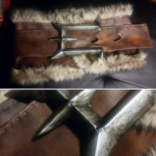 16797654_861083550698486_1181397861510902420_o